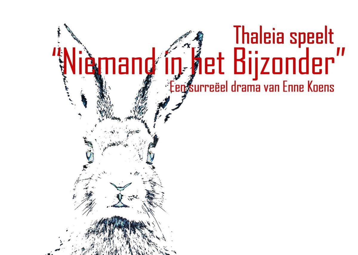 Flyer van Niemand in het bijzonder
