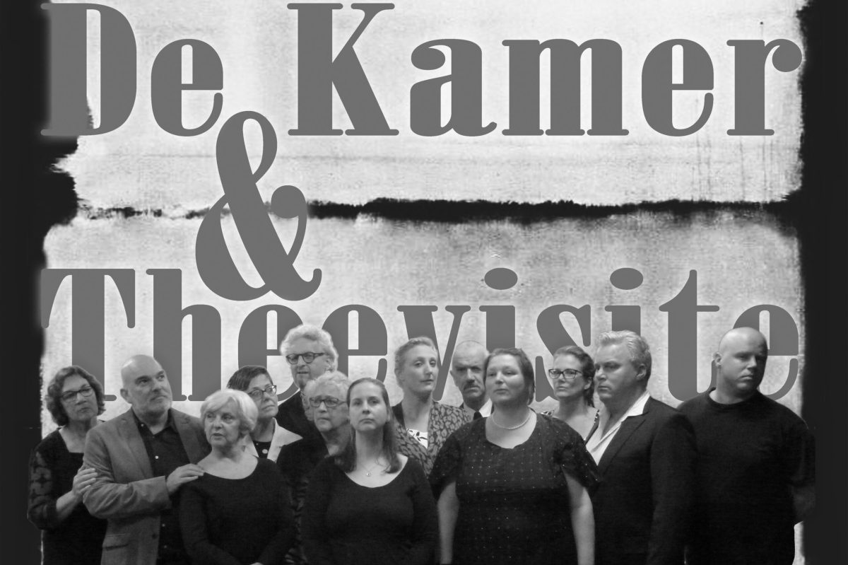Flyer van De Kamer & Theevisite